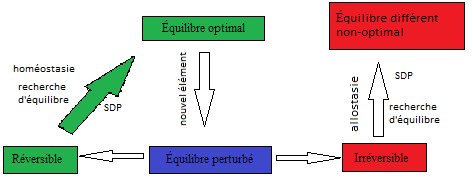 allostasie